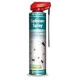 HOTREGA Spinnen Spray 600 ml | Zuverlässige Spinnenabwehr in Haus, Keller und Lager |...
