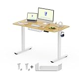 FlexiSpot Höhenverstellbarer Schreibtisch Basic–Mit Kabelmanagement, Haken und EINTEILIGER...