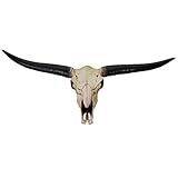 Mendler Deko Schädel 132cm HWC-A14AM, Polyresin Stier Bulle Longhorn Kopf Trophäe, In-/Outdoor -...