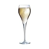 Arcoroc - Kollektion Brio – 6 Champagnergläser 16 cl – Transparenz und Stärke – verstärkte...