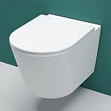 AICA Wand WC spülrandlos Hänge WC mit Lotus Effekt Soft Close Toilette Einfach Abzunehmender Sitz...