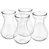 Kichvoe 4 Stück 4 Stück Kleine Glasvasen Hyazinthenvase Transparent aus Glas Dekorative Hydroponik...