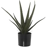 Alexandra House Living Dekorative Pflanze aus Kunststoff Aloe Vera, 11 x 11 x 39 cm