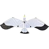 3D Möwe Kite Spielzeug Outdoor Fliegen Aktivität Spiel Mit Schwanz Geschenke Kinder