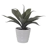 Alexandra House Living Dekorative Pflanze aus Kunststoff, Aloe Vera, 16 x 16 x 30 cm
