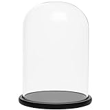 BELLE VOUS Glas Glocke Glaskuppel Groß mit Holzboden Schwarz – 30cm Dekorative Glashaube als...