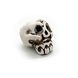 ZooPaul Keramik Deko Dekoration Aquarium Terrarium Totenkopf Schädel Skull klein Optimal für Nano...