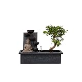 Plant in a Box - Bonsaibaum mit pflegeleichtem Wassersystem und fließendem Wasserfall über...