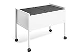 Durable Eco Hängemappenwagen 100 Duo, grau, aus kratzfestem Stahl, 760 x 592 x 425 mm, 308210