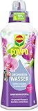 COMPO Orchideen Wasser - Dünger für Orchideen - Nährstoffreich und kaliumarm - 1 Liter