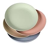 WANBY Leichte Kunststoffplatten Groß Unzerbrechlich Abendessen Wiederverwendbar Teller Platten Set...