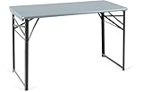 Stagecaptain BBT-119 GY Hirschgarten Bierzelttisch 119 cm - Robuster, kurzer Biertisch (119 cm lang)...