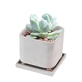 Générique Hochtopf – praktische Erhöhung, innovativer Pflanzkasten | Moderner Behälter mit...