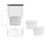 Wessper Wasserfilter Kanne Glas 3 L, Set Wasserkanne und 2 Filterkartuschen, Kompatibel mit Brita...