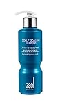 ZAOL Synergie Scalp Scaling Shampoo 300ml / Anti Haarausfall / Haaraufbau Produkt