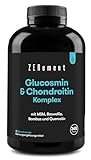 Glucosamin & Chondroitin Hochdosiert, 365 Kapseln mit MSM, Boswellia, Bambus und Quercetin - trägt...