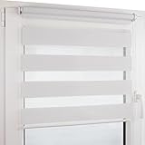 Deco4Me Doppelrollo Klemmfix ohne Bohren (140 x 160 cm, Weiß) - Duo Rollo lichtdurchlässig -...