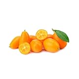 20 pcs kumquat baum samen, obst frisch pflanztopf winterharte stauden mehrjährig frisches obst...