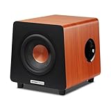 800X Subwoofer Aktiv 8 Zoll, 100Watt Sub Woofer mit RCA AUX LFE Eingänge, Integrierter Verstärker,...