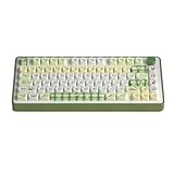 Green Pandas Keycap PBT Standard Dye Sublimations Process Keycap 140Keys MOTProfile 6.25U Space For...