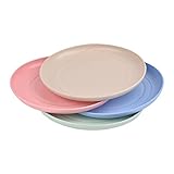 4 Stück Plastikteller Mehrweg, Unzerbrechliches Camping Teller, 15cm Kunststoffteller, Leicht...