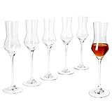 MamboCat 6er Set Specials Spirits Grappa-Gläser I 30ml, Höhe 20,5cm I für 6 Personen I klares...