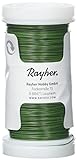 RAYHER HOBBY Rayher 2400113 Blumendraht, grün lackiert, 0,35 mm ø, Spule 100 m, Material Eisen,...
