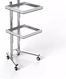 Beauty Cart Roll-Werkzeugwagen, 2-stöckiges Ablageschale für Salon, Tattoo, Spa, Klinik,...