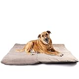 Vitazoo Thermo Hundedecke - 100 x 70 cm Gross - Hundematte zum Mitnehmen für Unterwegs oder Outdoor...