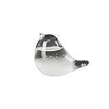 Fuoliystep Wetterstation Glas Sturmglas Wettervorhersage Vogel Flüssigkeitsbarometer...