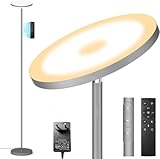 Grau LED Stehlampe , 3600LM 36W Deckenfluter Dimmbar Stehlampe Wohnzimmer 2700K-6500K Stufenloses...