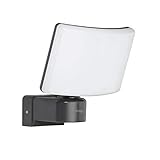 Oktaplex lighting LED Außenstrahler Außen Cali 30W | Wand Strahler IP65 3000K warmweiß |...