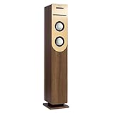 auna Lautsprecher mit Radio & CD-Player mit Bluetooth, Vintage-Standlautsprecher Groß, Bluetooth...