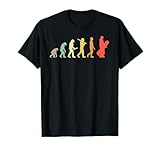 Retro Snowboard Evolution Geschenk für Snowboarder T-Shirt