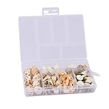 volumoon 100 Stück Muscheln Gemischt, 6 Arten Natürliche Muscheln, Muscheln zum Basteln Ungebohrt,...