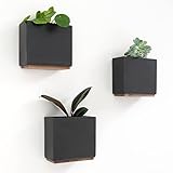 Kazai. Wandvasen -Alma- | Moderne Hängende Blumentöpfe für die Wand | 3-teiliges Übertopf-Set...