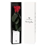 Infinity Rose rot am Stiel (3 Jahre haltbar) in Geschenkbox I Valentinstag Deko Geschenk I Eine...