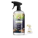 GrizzlyClean Premium Insektenentferner Spray - Intensiver Insektenentferner für Auto und Motorrad -...