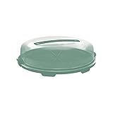 Rotho Fresh flache Tortenglocke, Kunststoff (PP) BPA-frei, türkis/transparent, (35.5 x 34.5 x 11.6...