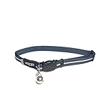 Rogz Alleycat Halsband. Auf das Gewicht deiner Katze einstellbar und mit Sicherheitsverschluss....