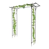 LEADZM Gartenbogen aus Metall 206x41x208cm – Rosenbogen & Rankgitter in Schwarz – Stabiler...