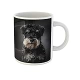 Awowee Kaffeetasse, brauner Hund, Schnauzer, Portrait auf dunkelgrauem Haustier, bezaubernd, 325 ml,...