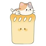 Poo4kark Schlanker Wandkratzbaum Karton mit integrierter Quietschfunktion für Krallenpflege bei...