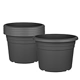 BigDean 6X Blumentopf Ø 35 cm Farbe Anthrazit Kunststoff Pflanztopf Containertopf Übertopf...