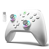 ECHTPower Wireless Controller für PC, Kabellos