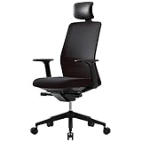SIDIZ T40 Schreibtischstuhl mit einfachen Funktionen: Ergonomische, verstellbare Kopfstütze und...