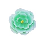 MDYTPT Tanzrequisiten, Pfingstrosen, Blumen-Regenschirm, große Bühnenaufführung, Requisiten,...
