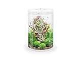 biOrb 72067 TUBE 30 LED, weiß (30 L) - 360-Grad Deko-Aquarium | Komplett-Set aus Acryl-Glas mit...