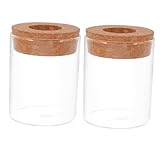 SHINEOFI 2 Stück Hydrokultur Glasvase mit Korkdeckel Transparenter Desktop Pflanzflasche für...