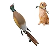 Entenspielzeug für Hunde – Jagd Retriever Hundetraining | Simulation Tier Hund Plüsch | Outdoor...